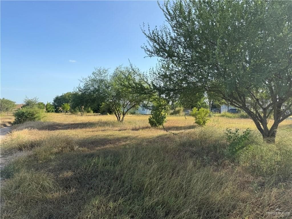 1 acres in Hidalgo County gallery image 4