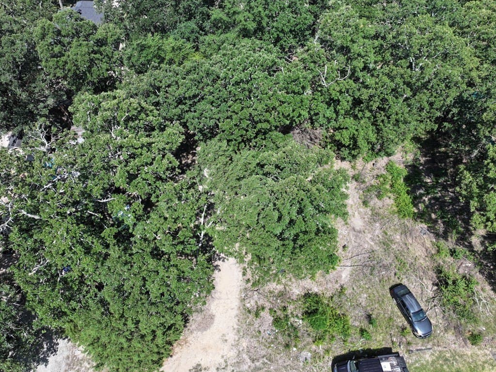 0.1 acres in Henderson County gallery image 2