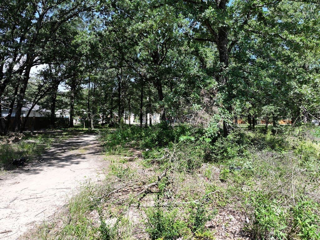 0.1 acres in Henderson County gallery image 4