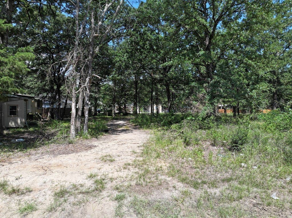 0.1 acres in Henderson County - photo 7