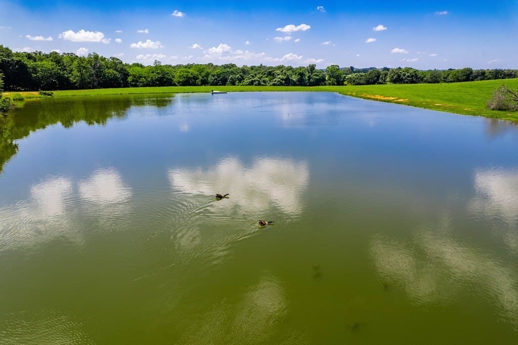 50.03 acres in HENDERSON County featured view