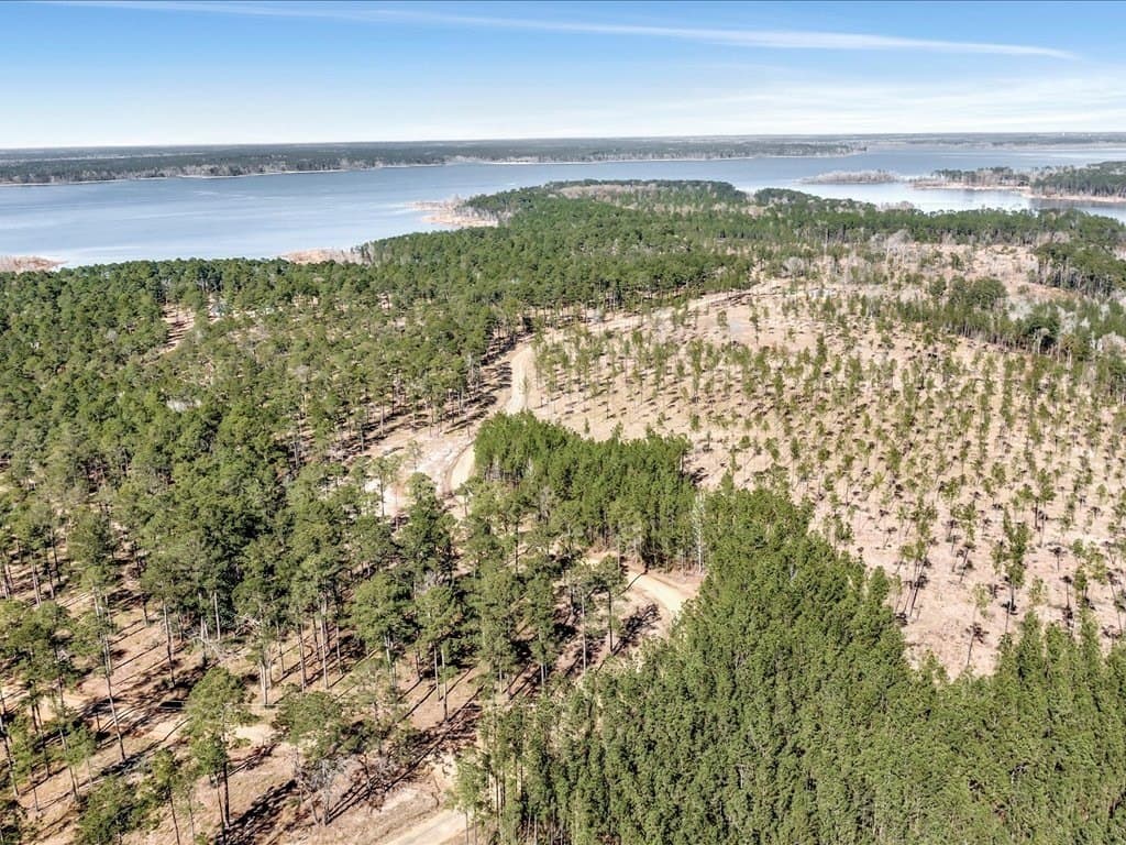 600 acres in Texas County - photo 17