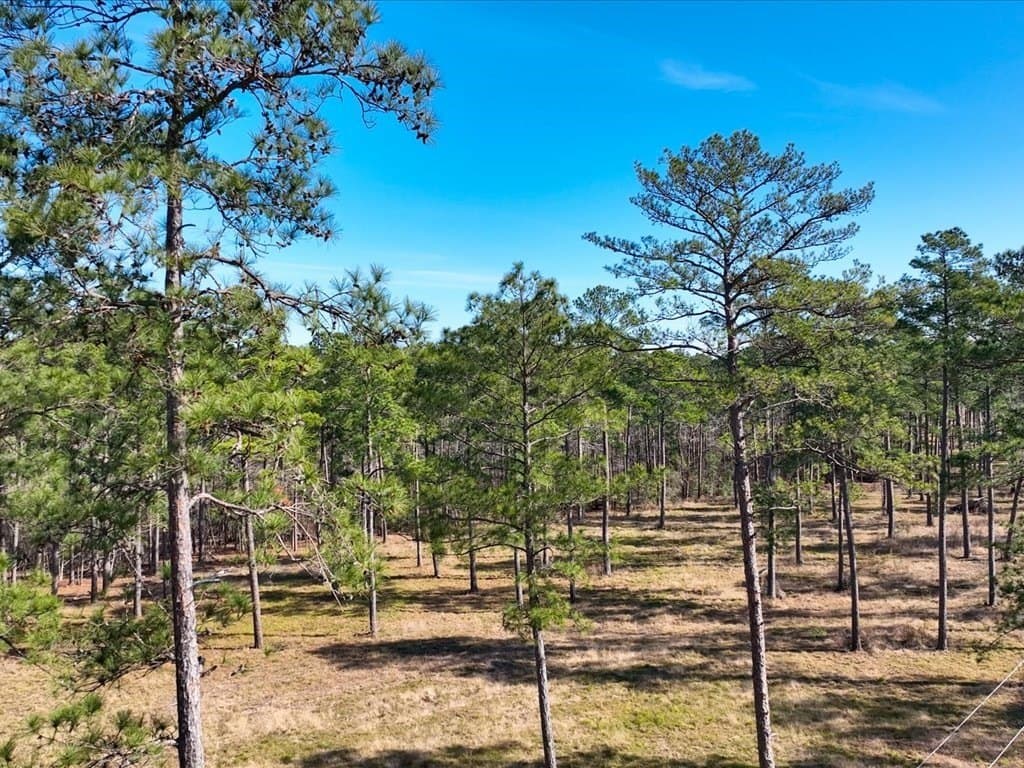 600 acres in Texas County - photo 25