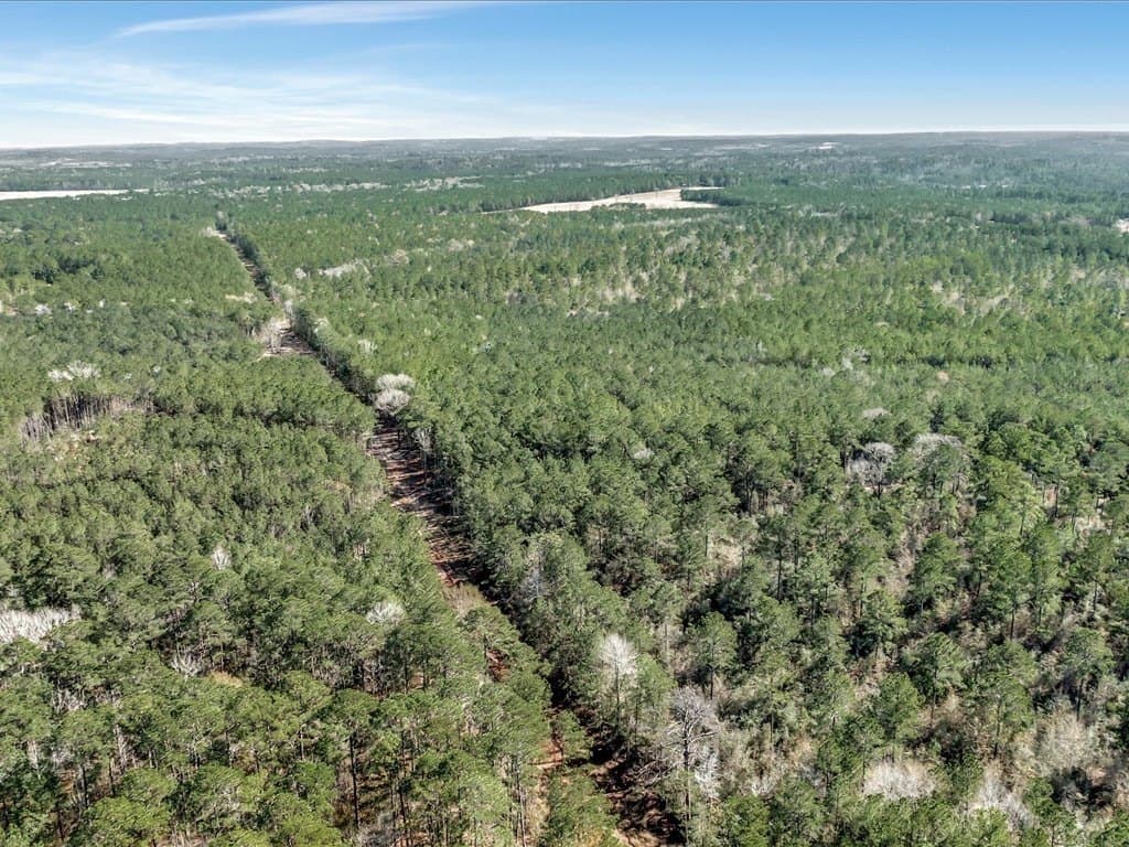 600 acres in Texas County - photo 14
