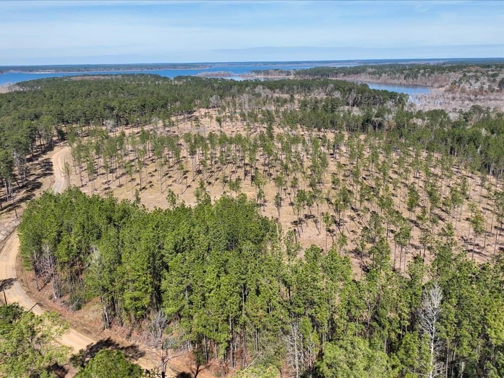 600 acres in Texas County - photo 24