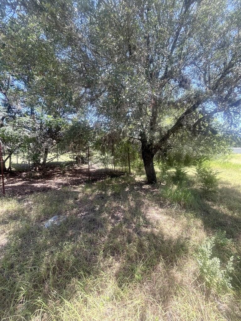 0.64 acres in Uvalde County - photo 2