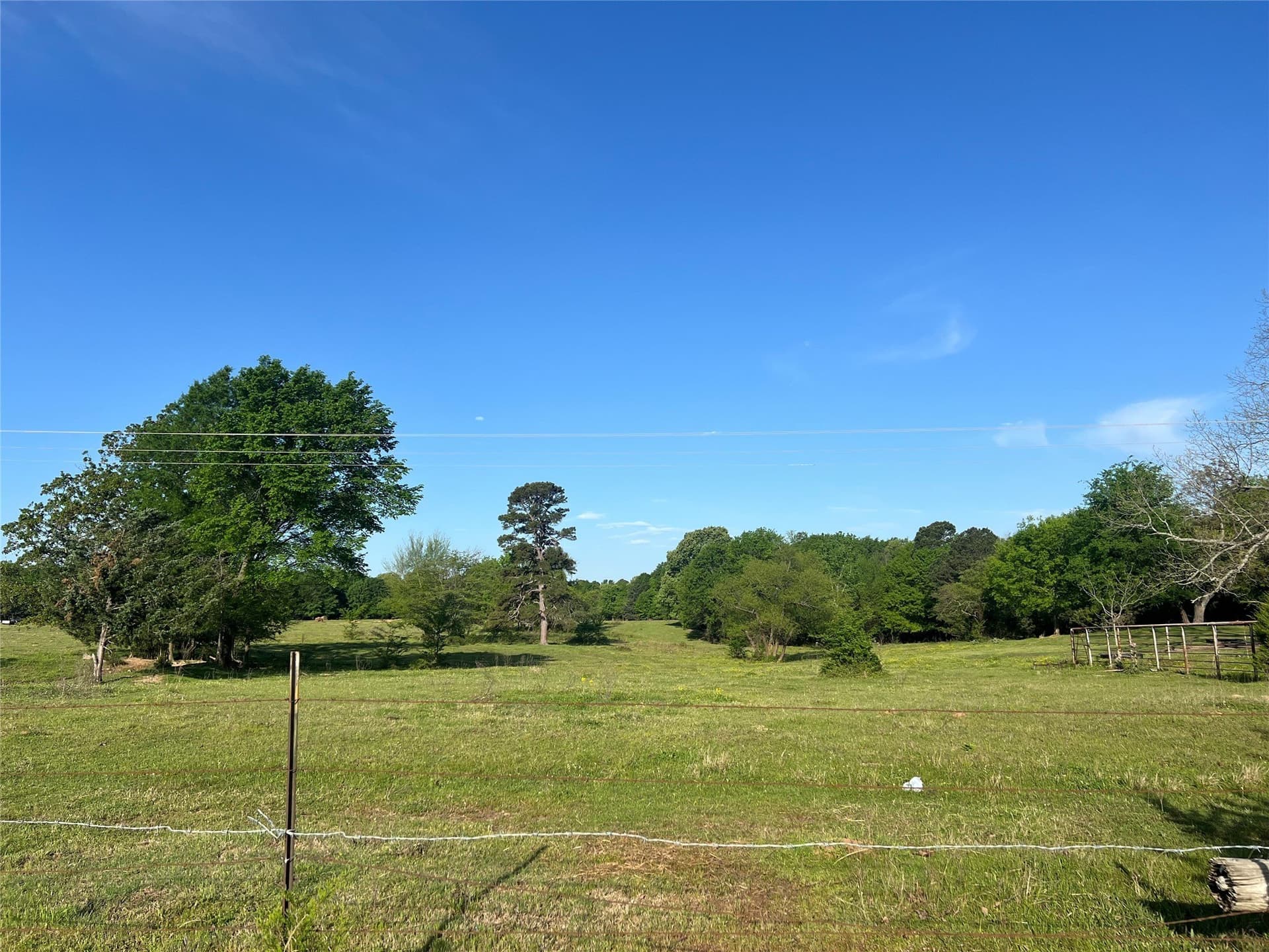 6 acres in Titus County - photo 2