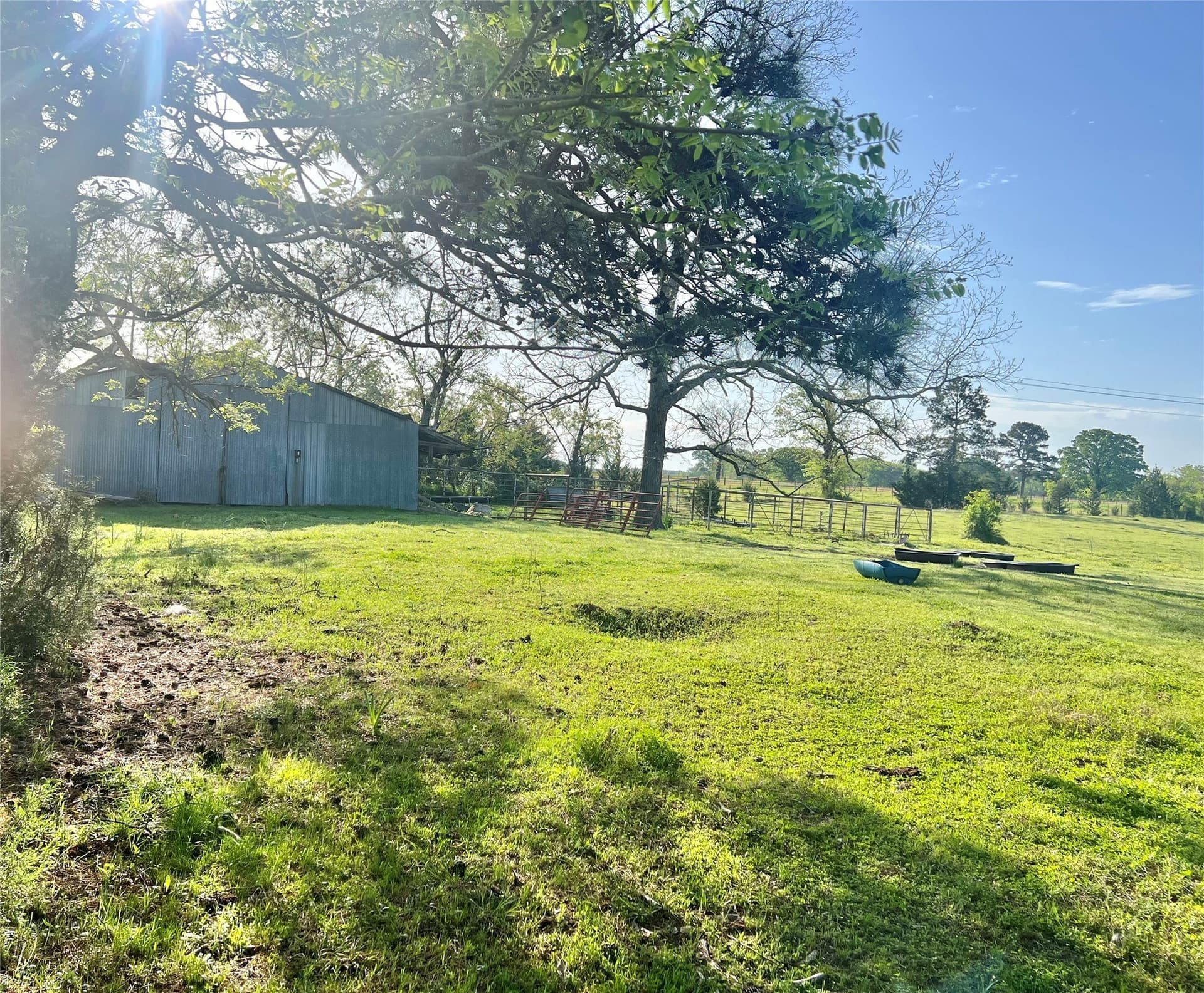 6 acres in Titus County