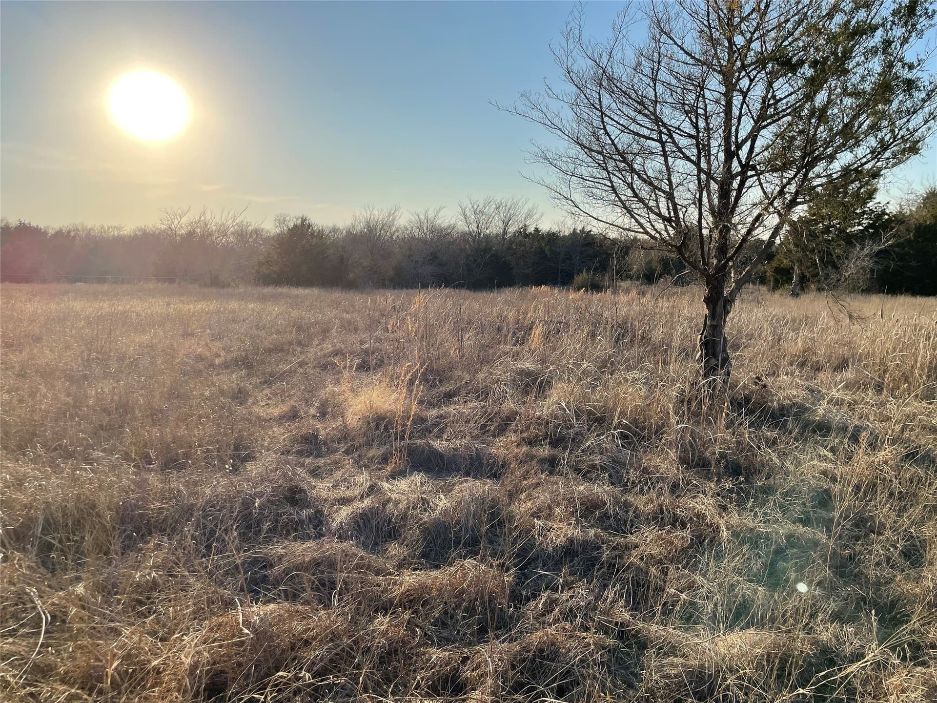 16.67 acres in Rains County - photo 5