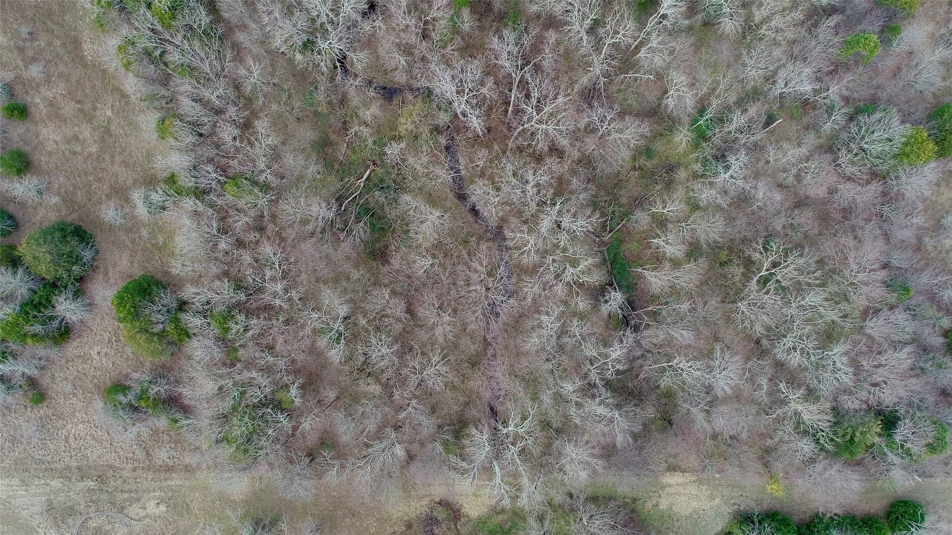 16.67 acres in Rains County - photo 3
