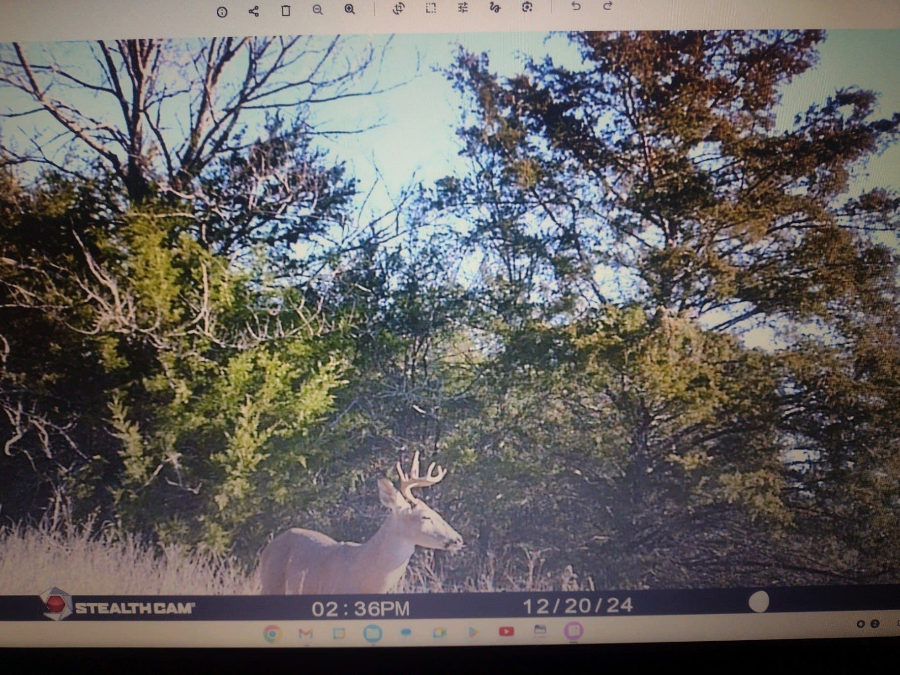 16.67 acres in Rains County - photo 4