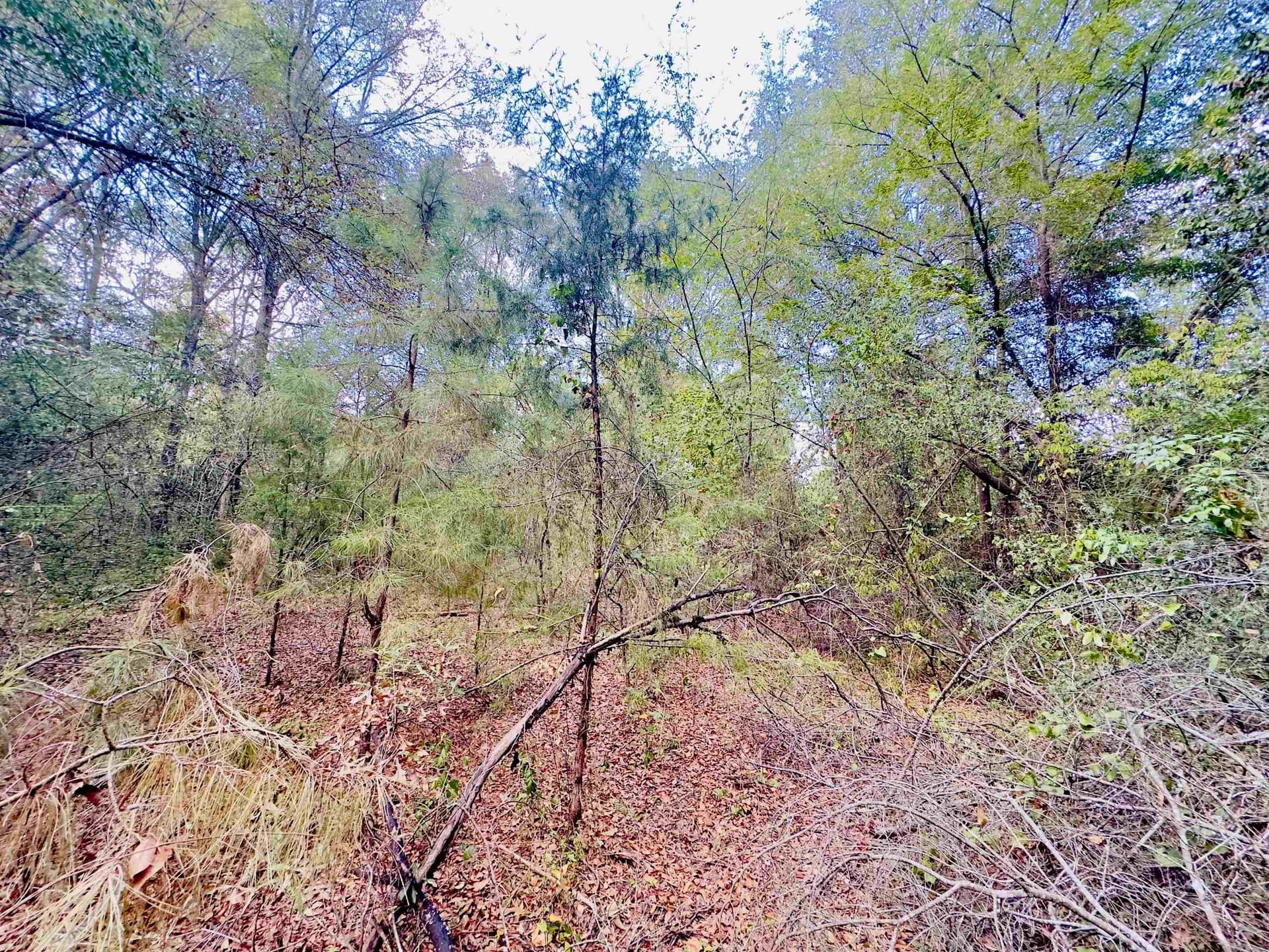 1 acres in Upshur County - photo 4