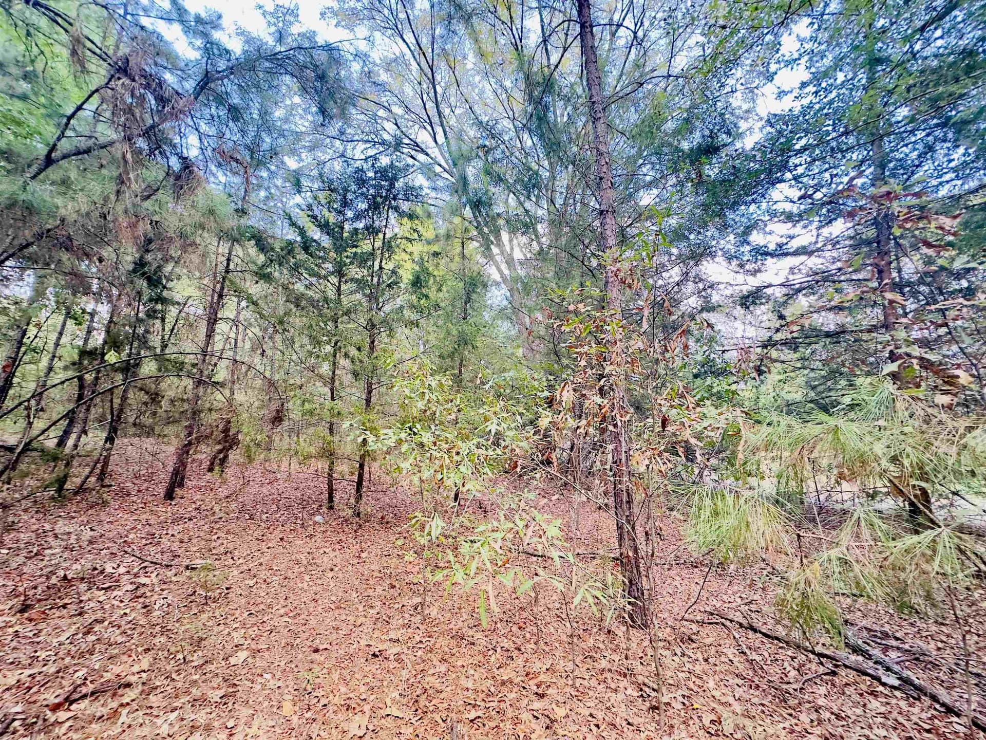 1 acres in Upshur County - photo 14