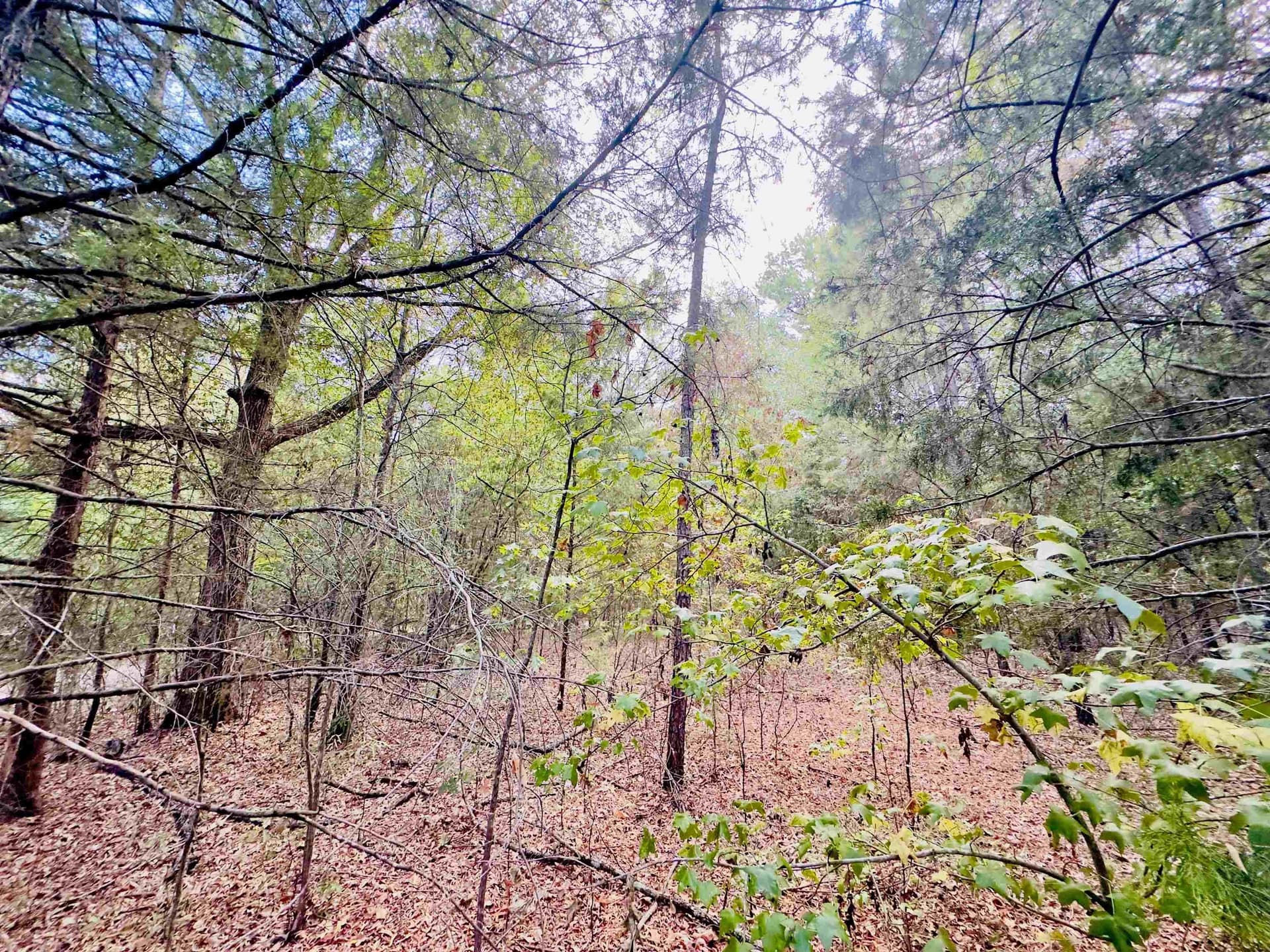 1 acres in Upshur County - photo 11