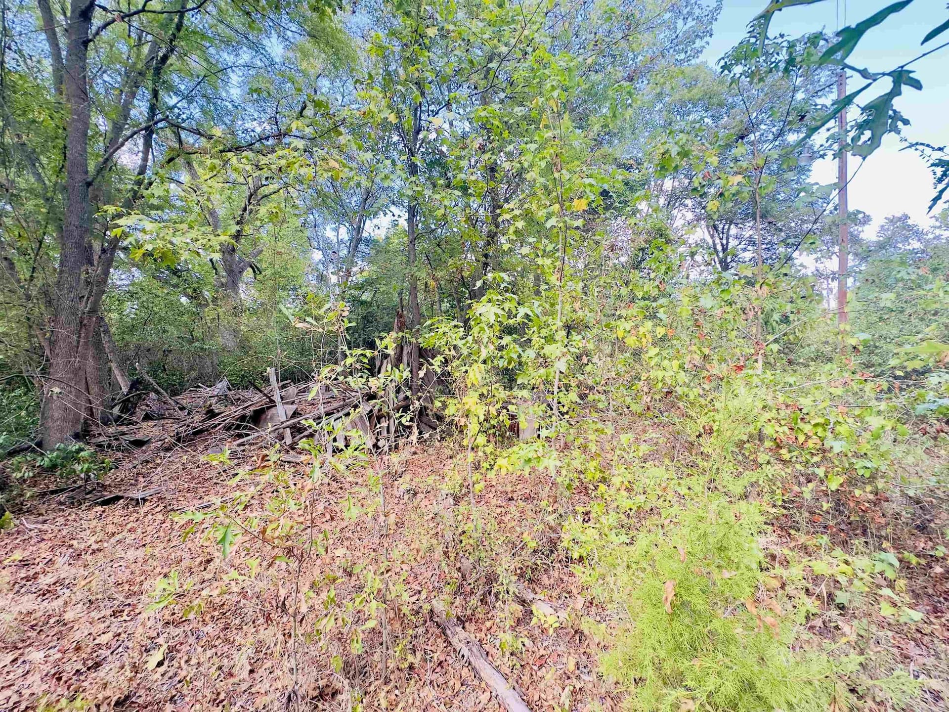 1 acres in Upshur County - photo 2