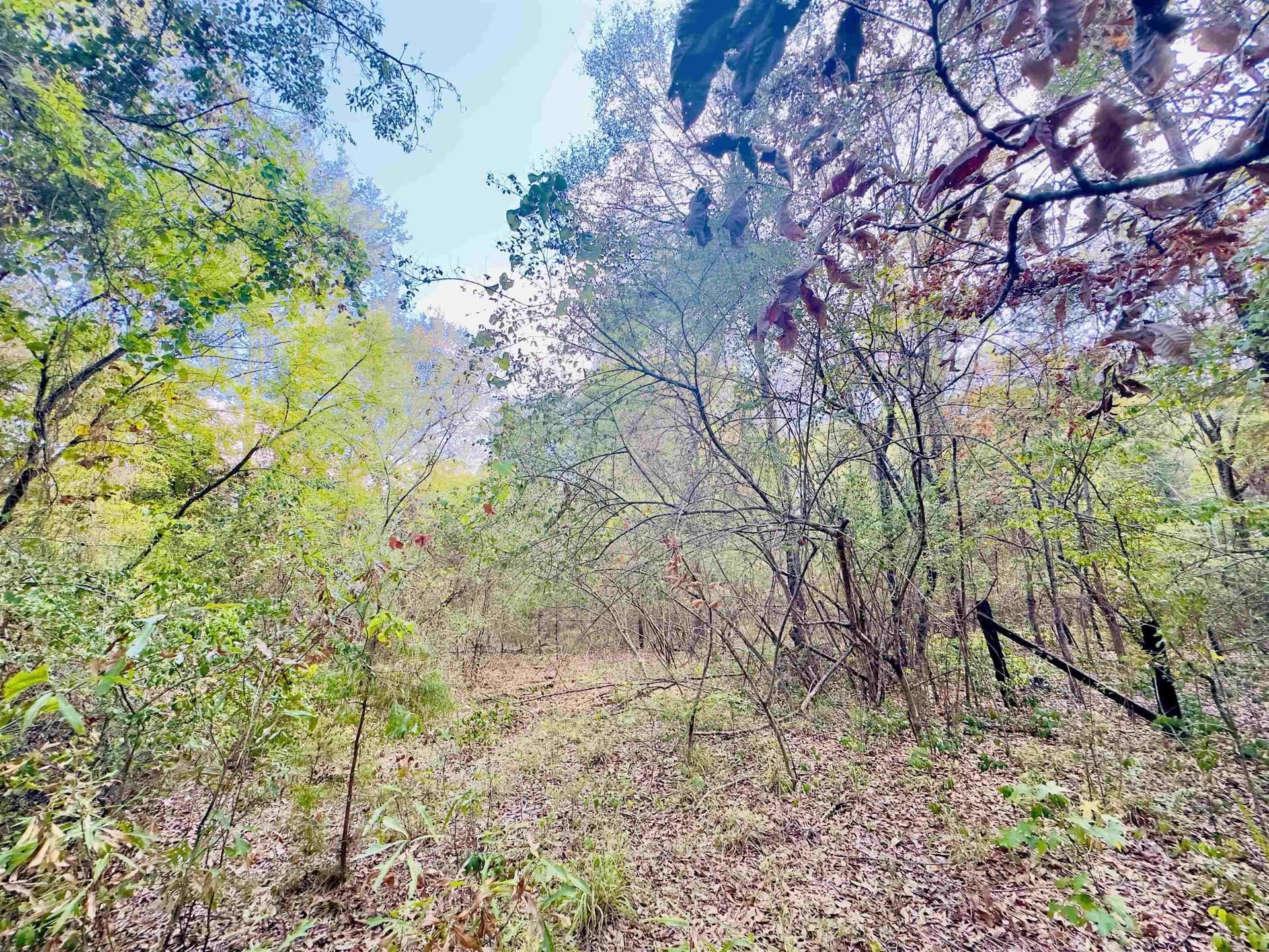1 acres in Upshur County - photo 18