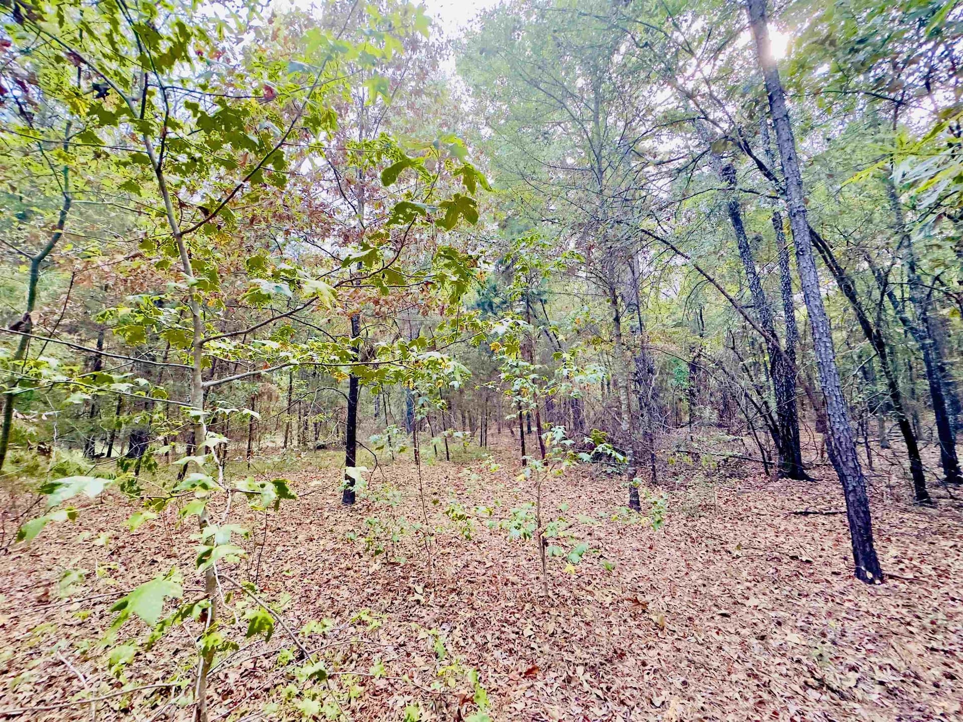 1 acres in Upshur County - photo 12
