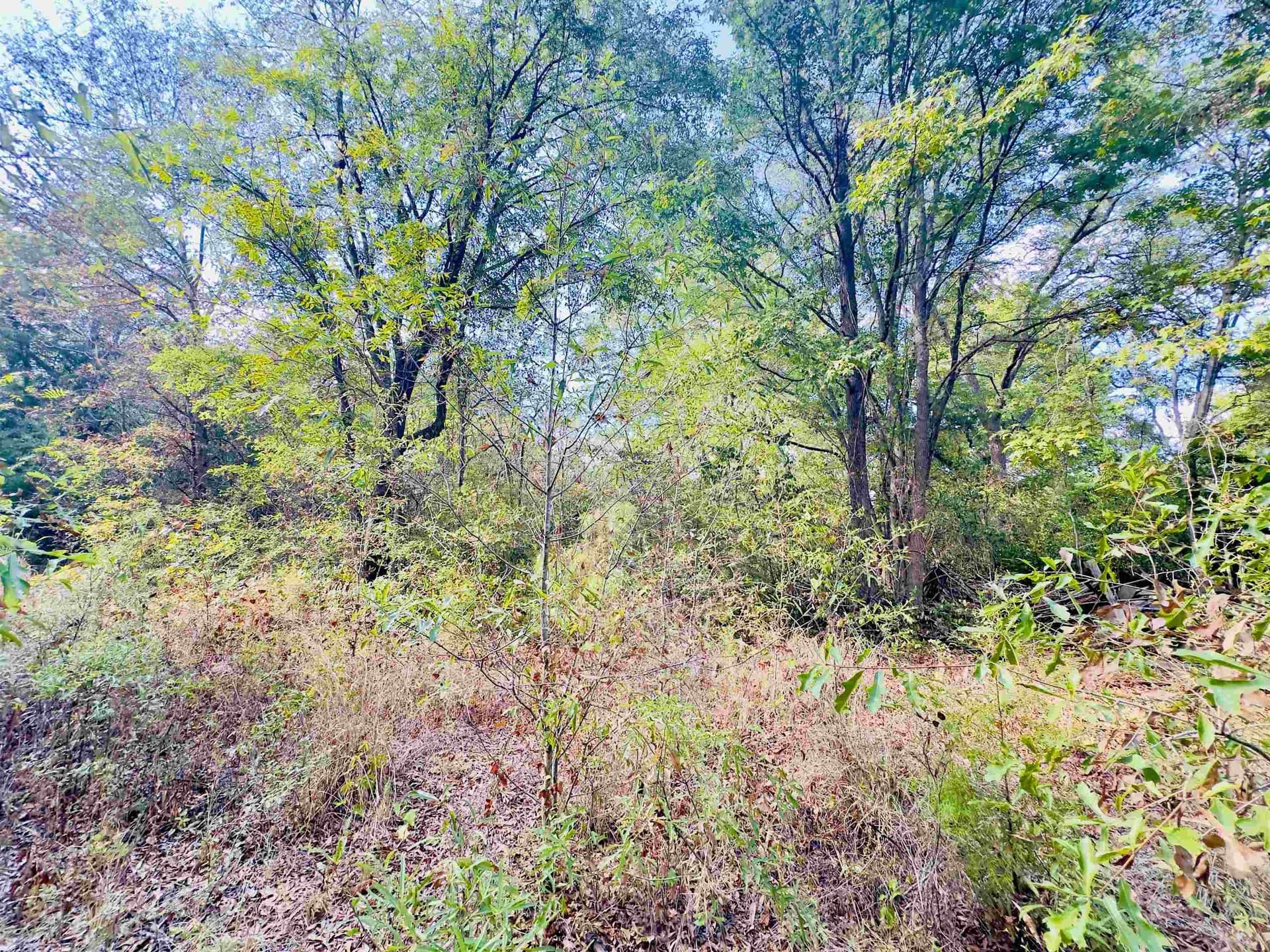 1 acres in Upshur County - photo 21