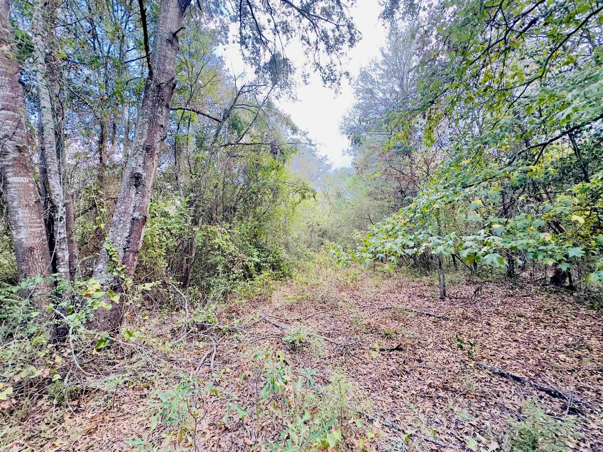 1 acres in Upshur County - photo 3