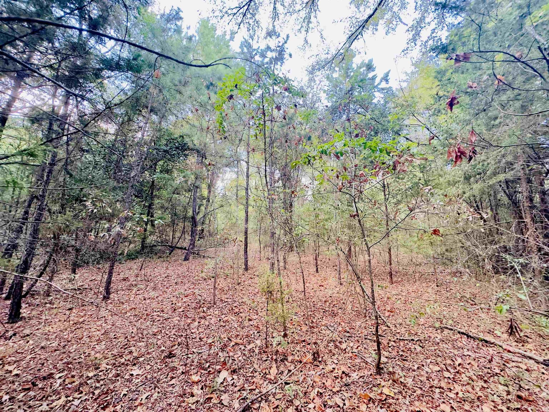 1 acres in Upshur County - photo 9