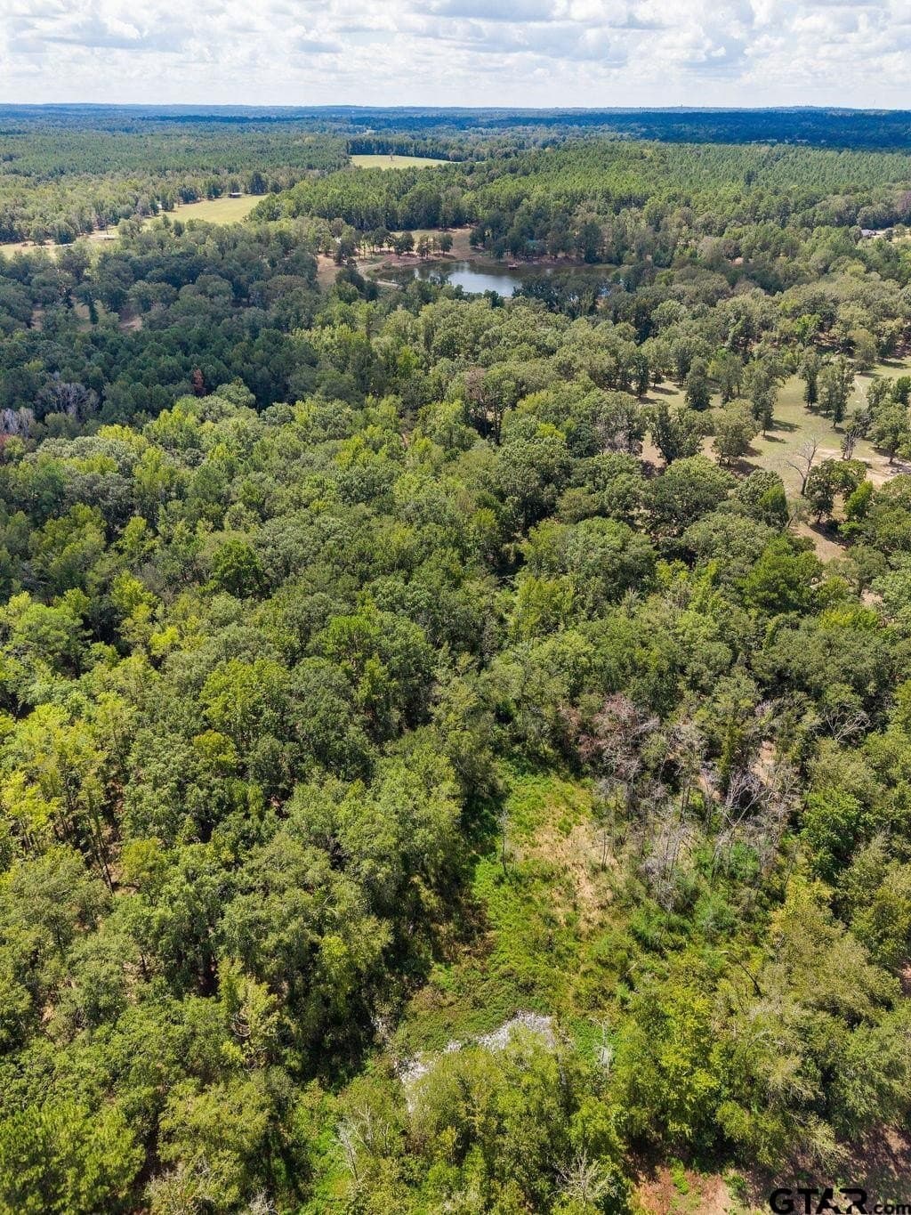274 acres in Anderson County - photo 18