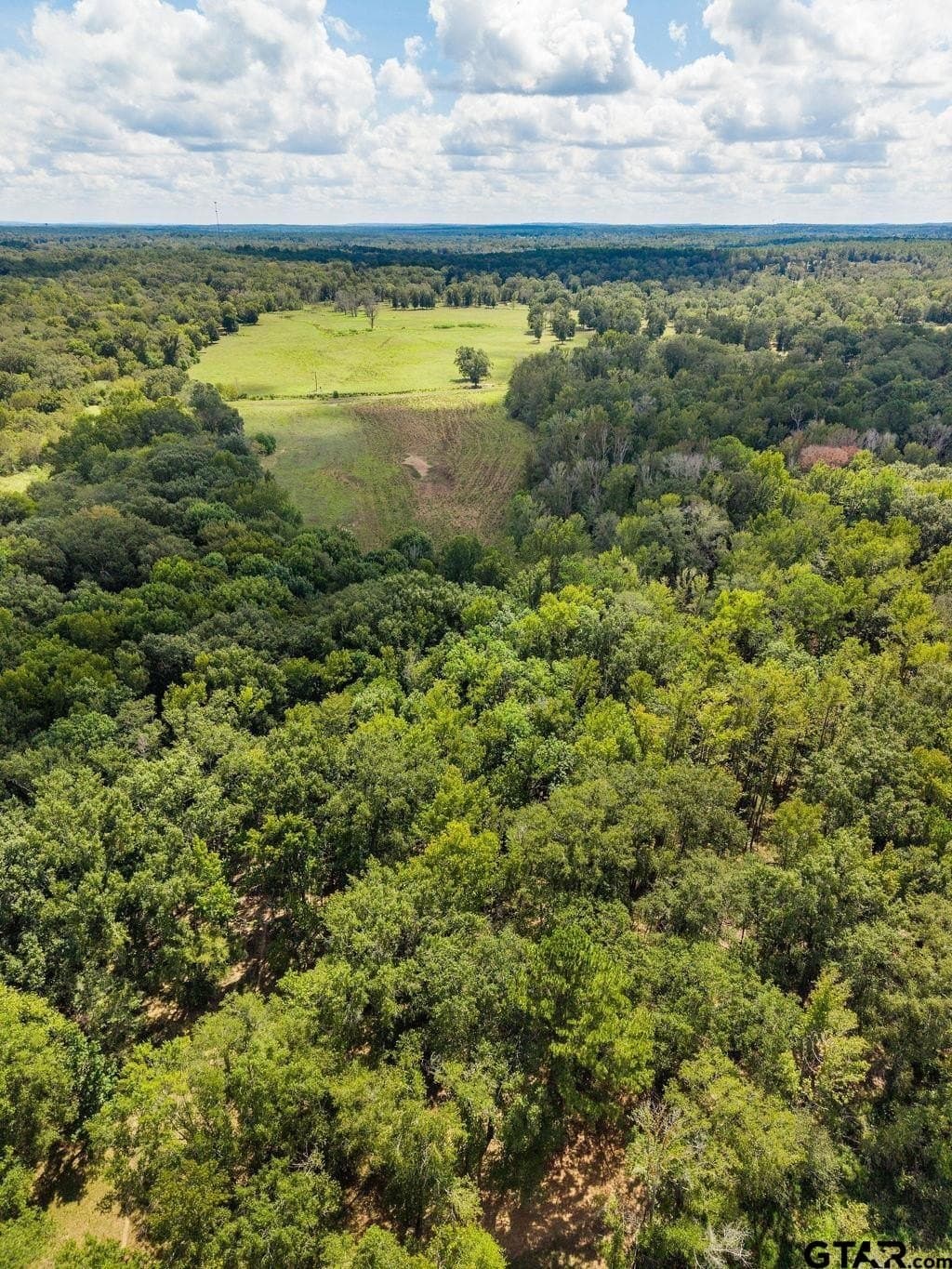 274 acres in Anderson County - photo 19