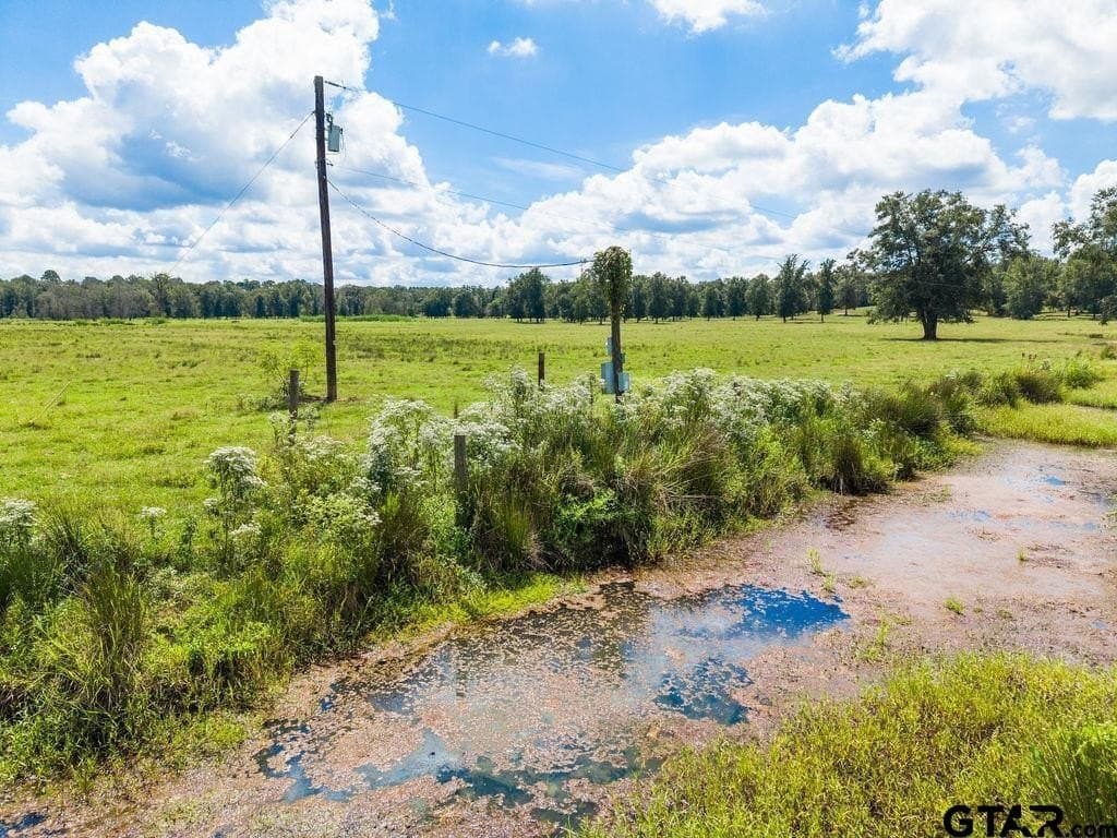 274 acres in Anderson County - photo 13