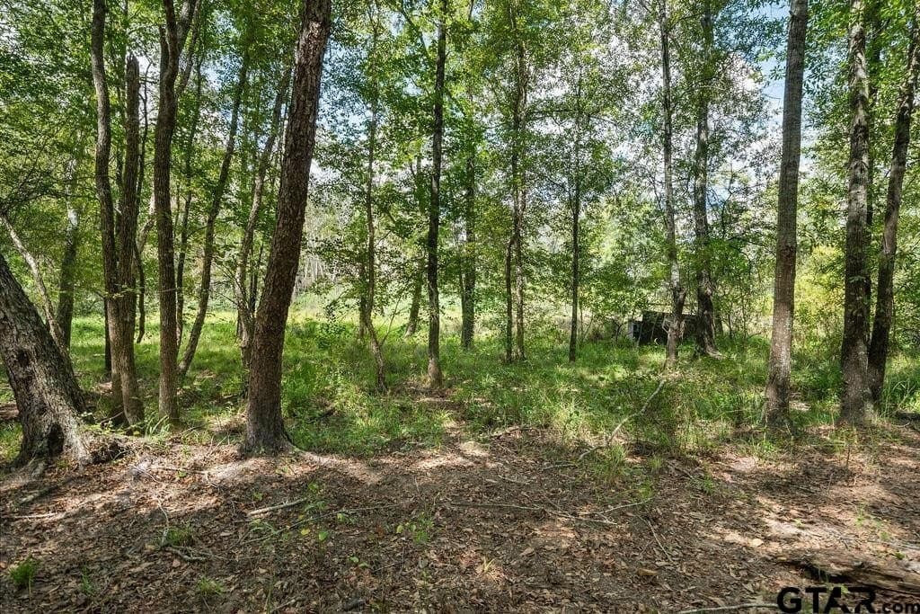 274 acres in Anderson County - photo 21