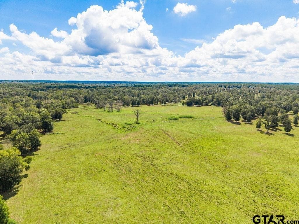 274 acres in Anderson County - photo 14