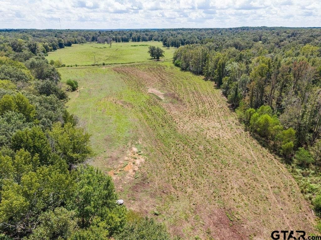 274 acres in Anderson County - photo 12