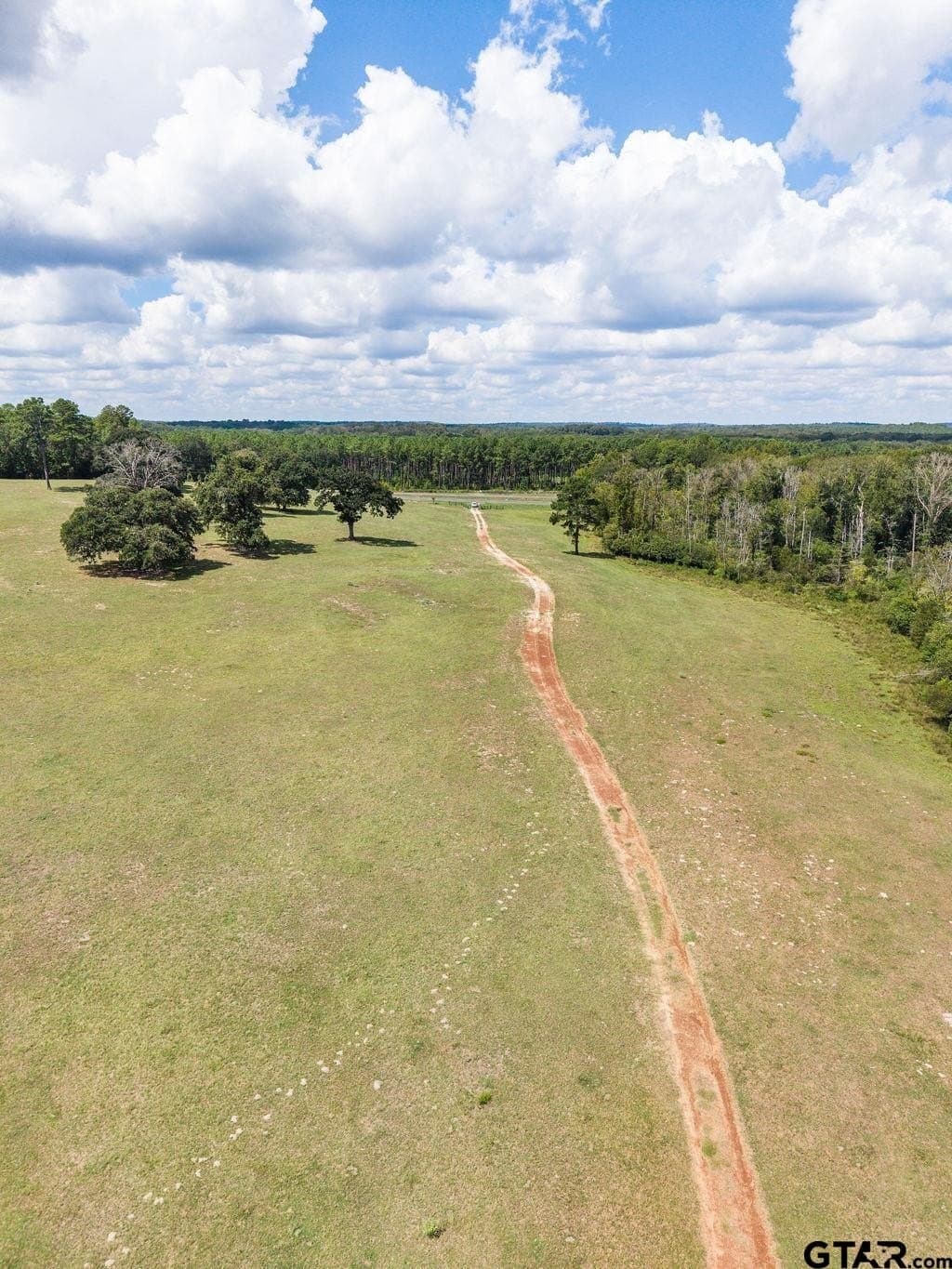 274 acres in Anderson County - photo 17