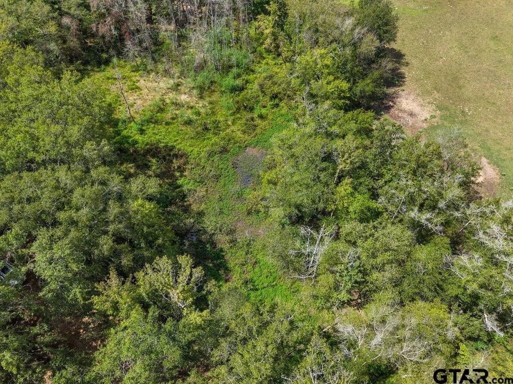 274 acres in Anderson County - photo 9