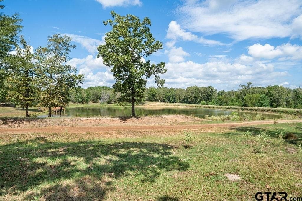 274 acres in Anderson County - photo 20