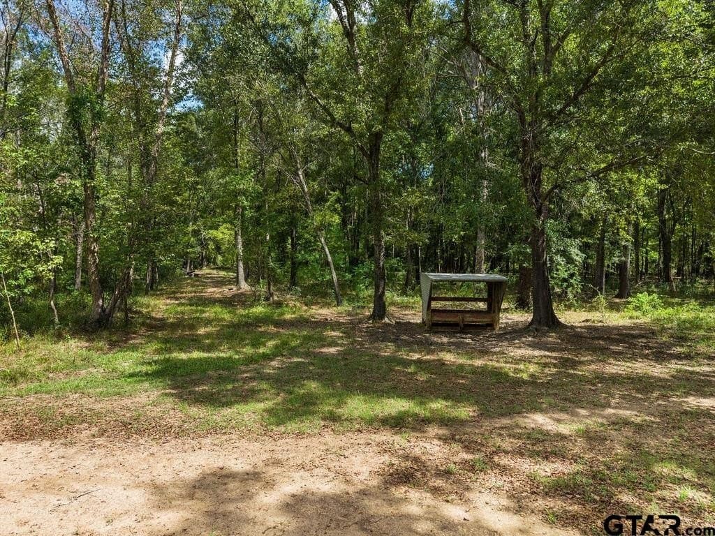 274 acres in Anderson County - photo 11