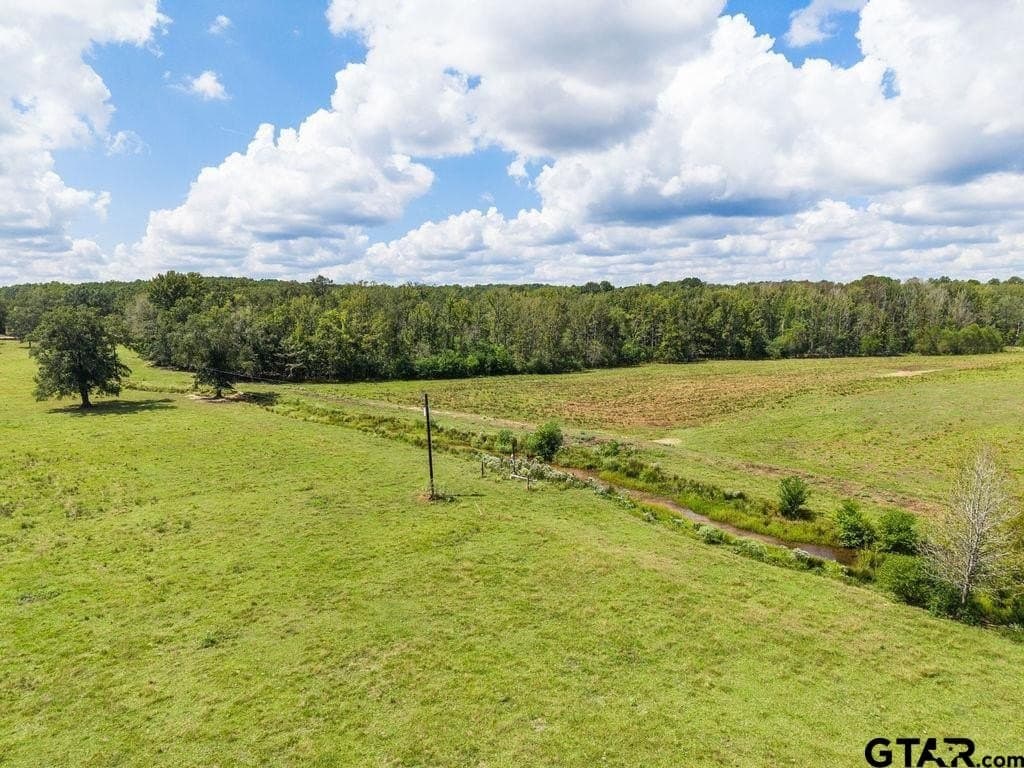 274 acres in Anderson County - photo 15