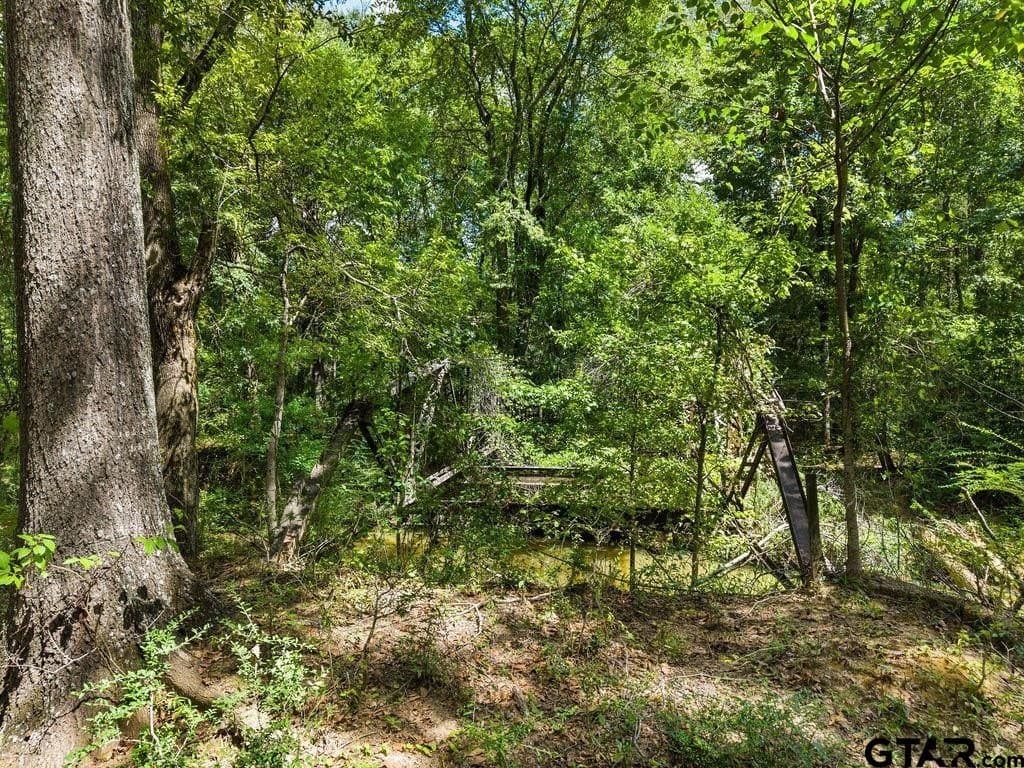 274 acres in Anderson County - photo 10