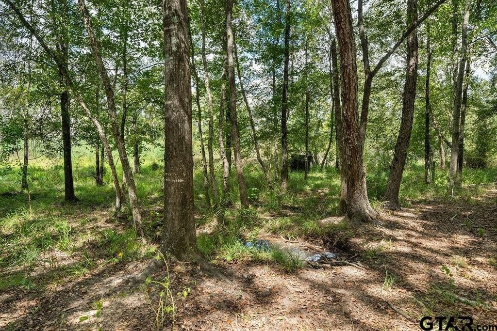 274 acres in Anderson County - photo 6