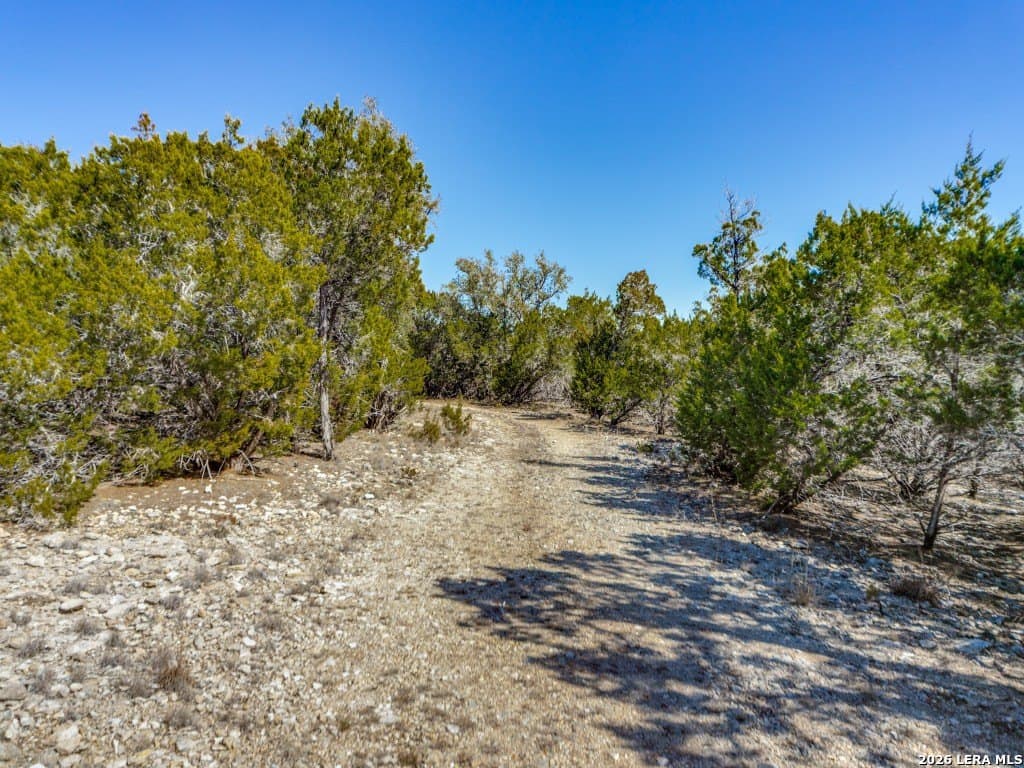 8.5 acres in Bandera County gallery image 2