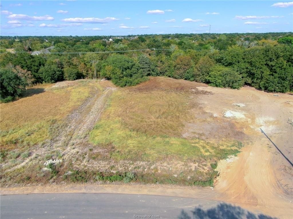 1.21 acres in Brazos County gallery image 4