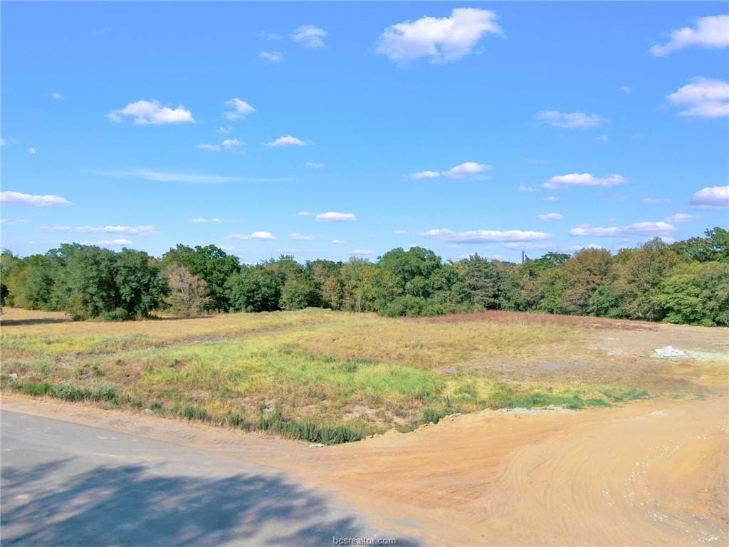 1.21 acres in Brazos County gallery image 3