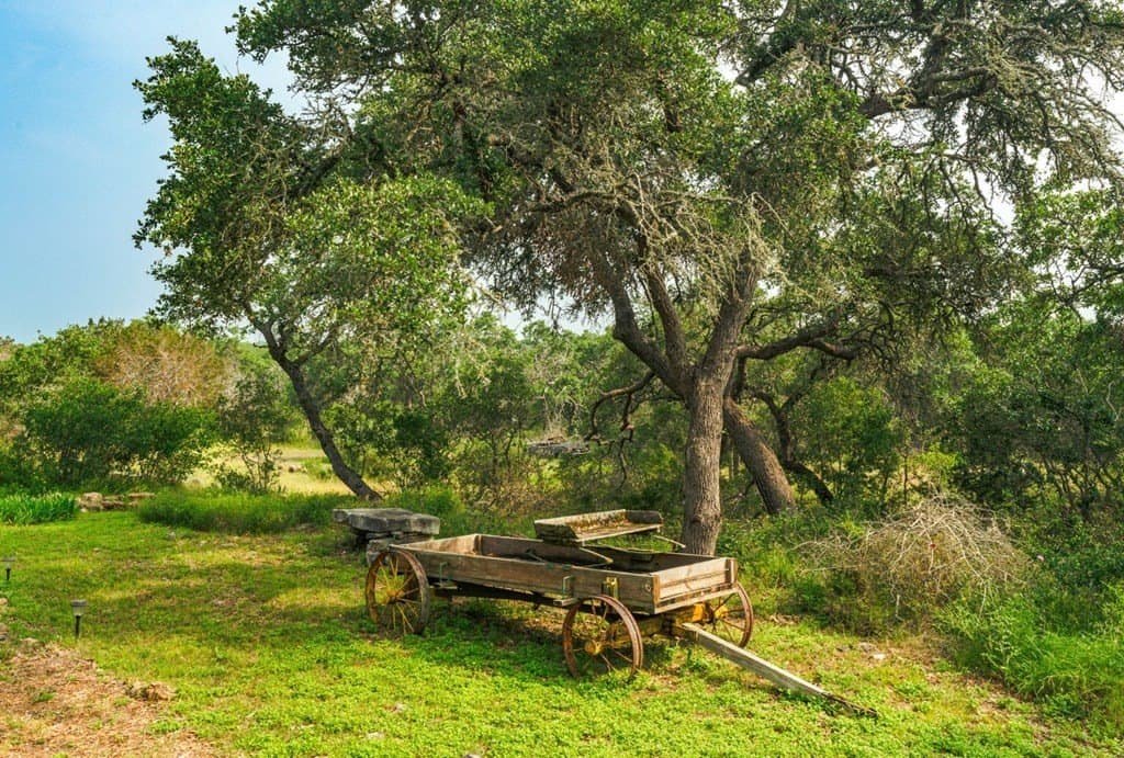 12 acres in Hays County - photo 20