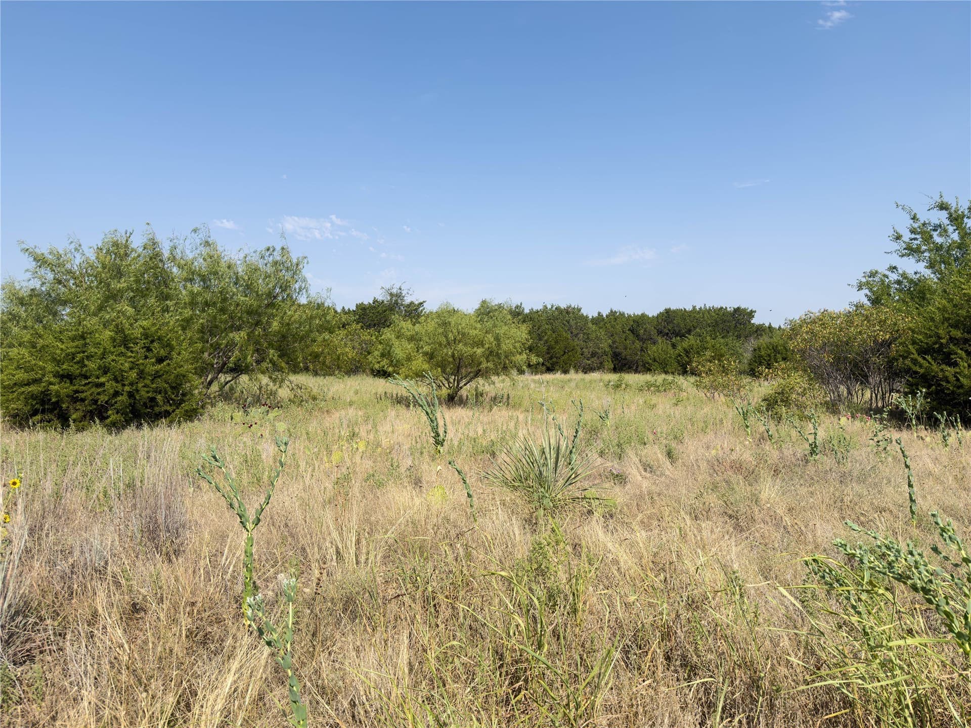2.07 acres in Palo Pinto County featured view