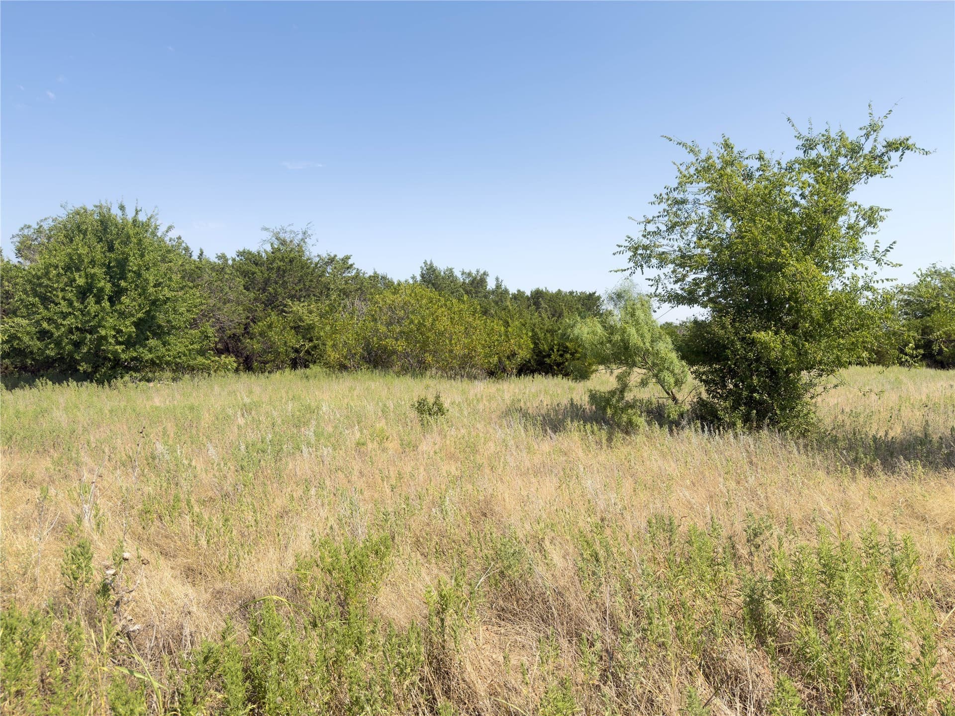 2.07 acres in Palo Pinto County gallery image 2
