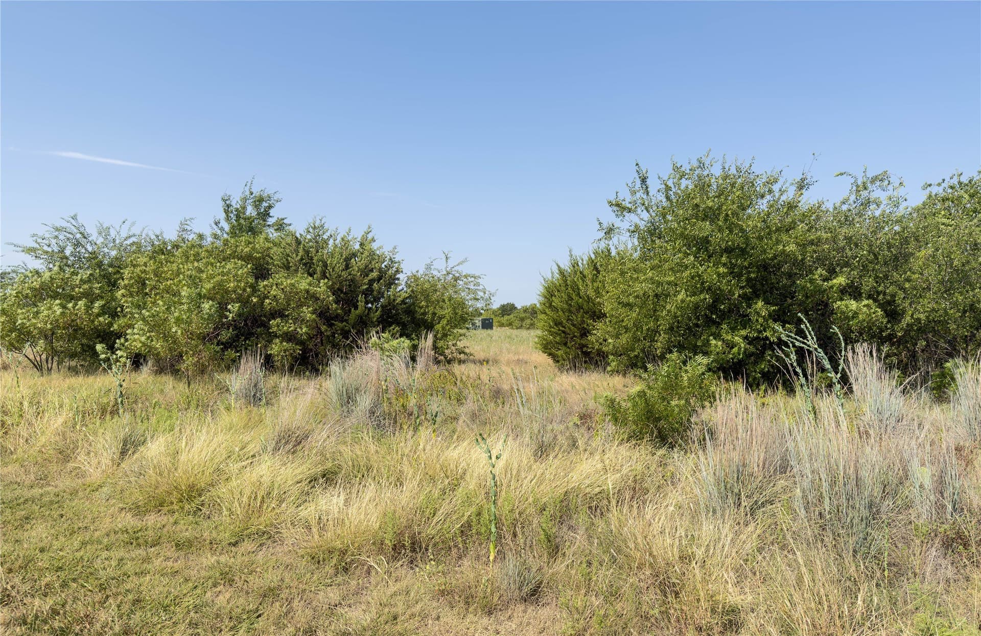 2.07 acres in Palo Pinto County gallery image 4