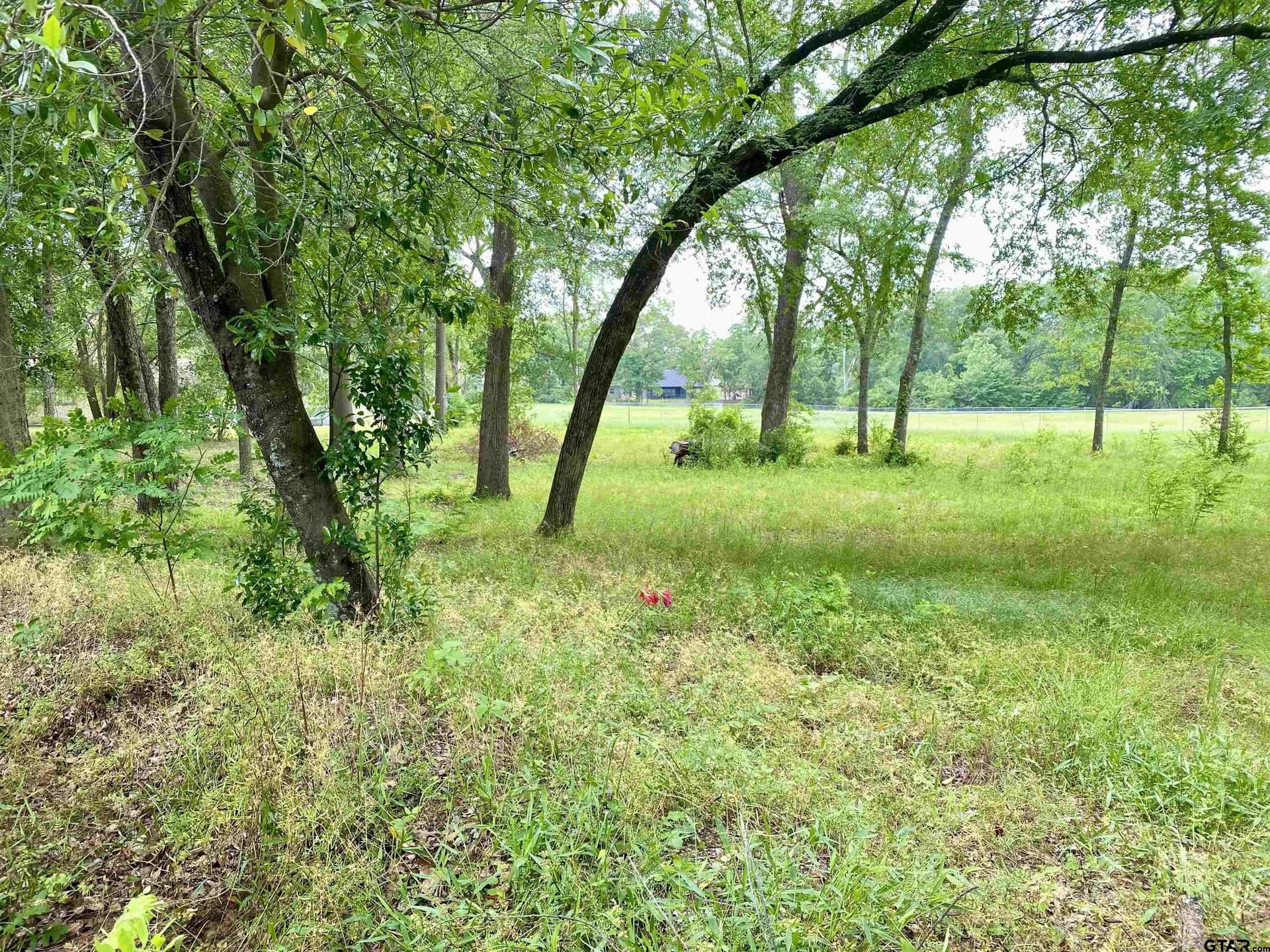 0.39 acres in Henderson County gallery image 2