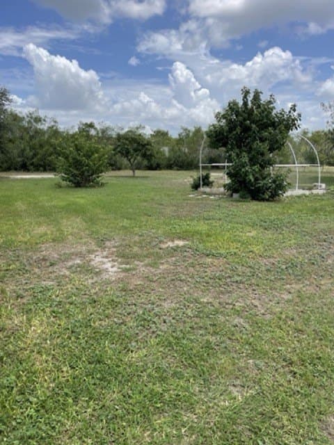 78,364 acres in Nueces County - photo 19