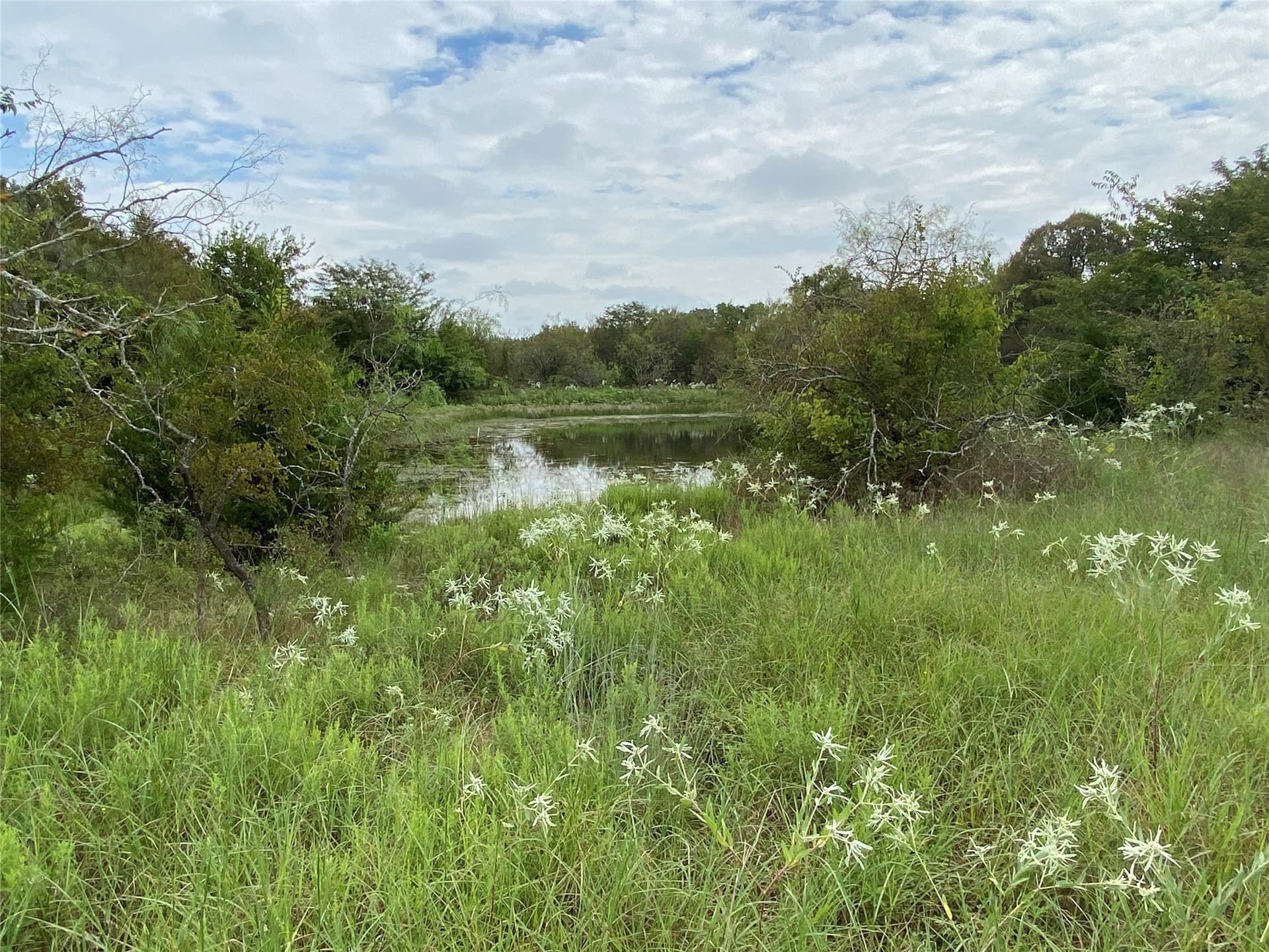 23.49 acres in Navarro County - photo 4