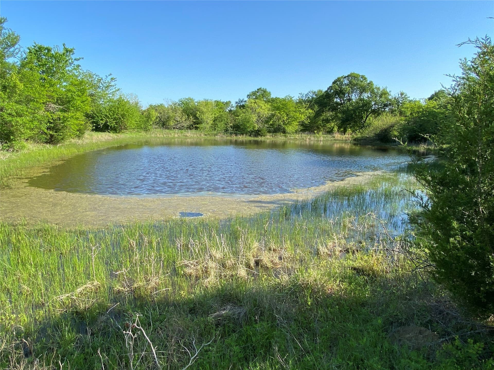23.49 acres in Navarro County