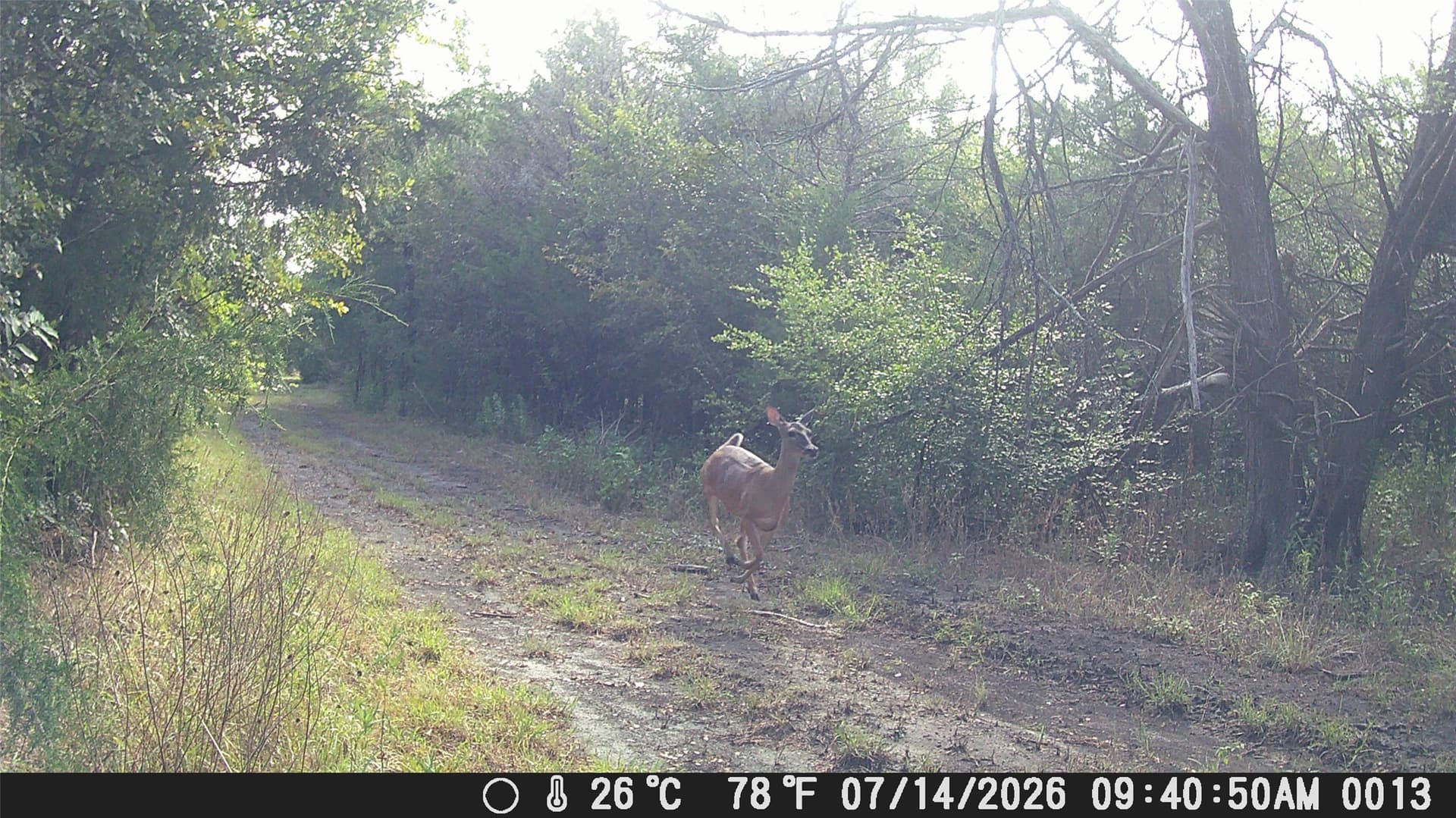 23.49 acres in Navarro County - photo 21