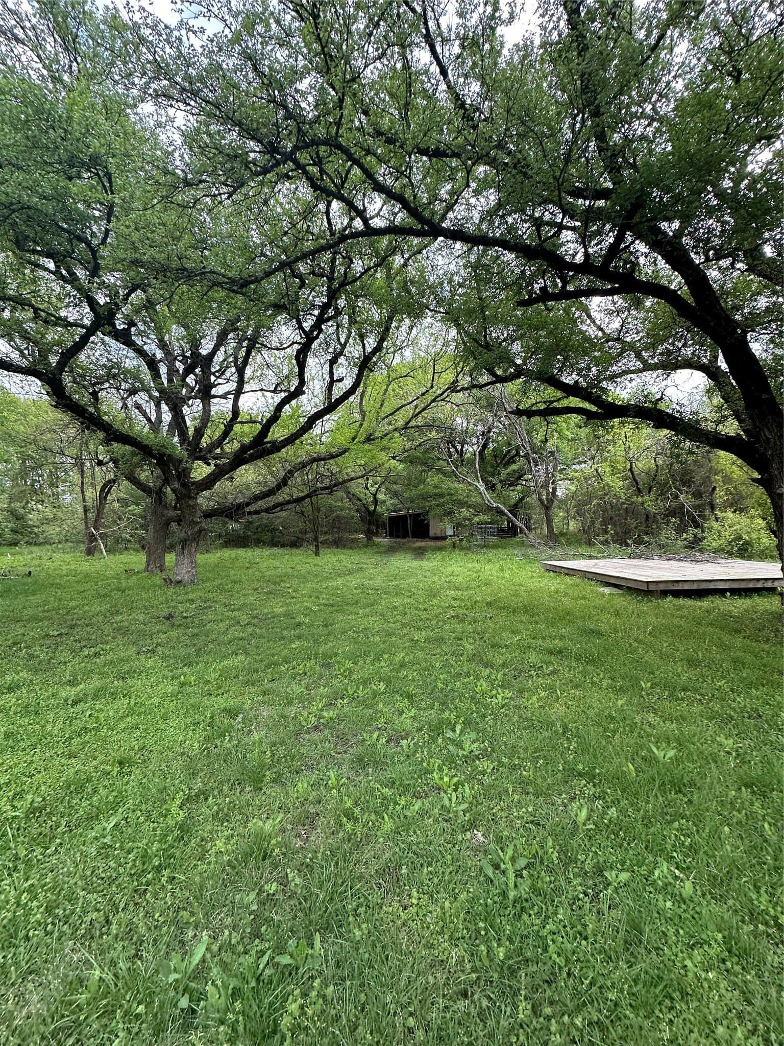 23.49 acres in Navarro County - photo 16